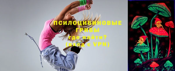 ГАЛЛЮЦИНОГЕННЫЕ ГРИБЫ Вязники