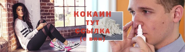твердый Вязьма