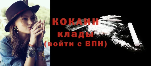 твердый Вязьма