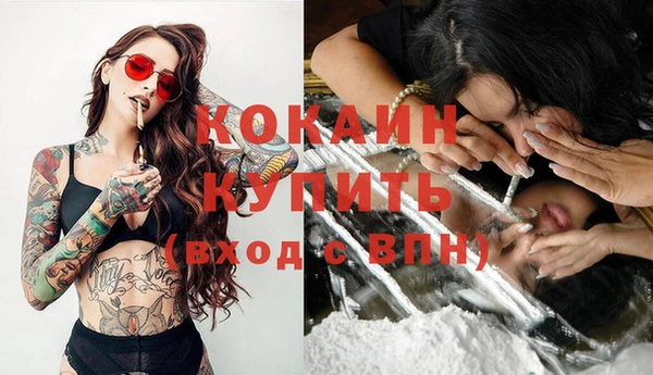 ГАЛЛЮЦИНОГЕННЫЕ ГРИБЫ Вязники