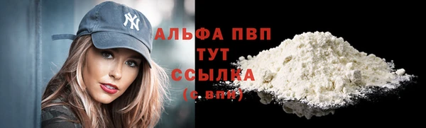 ГАЛЛЮЦИНОГЕННЫЕ ГРИБЫ Вязники