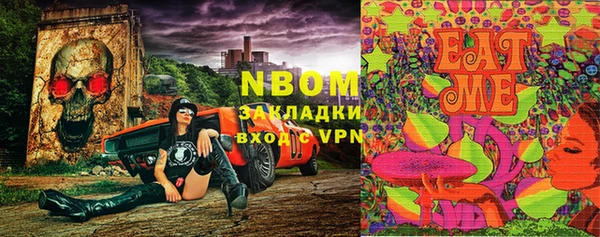 ГАЛЛЮЦИНОГЕННЫЕ ГРИБЫ Вязники